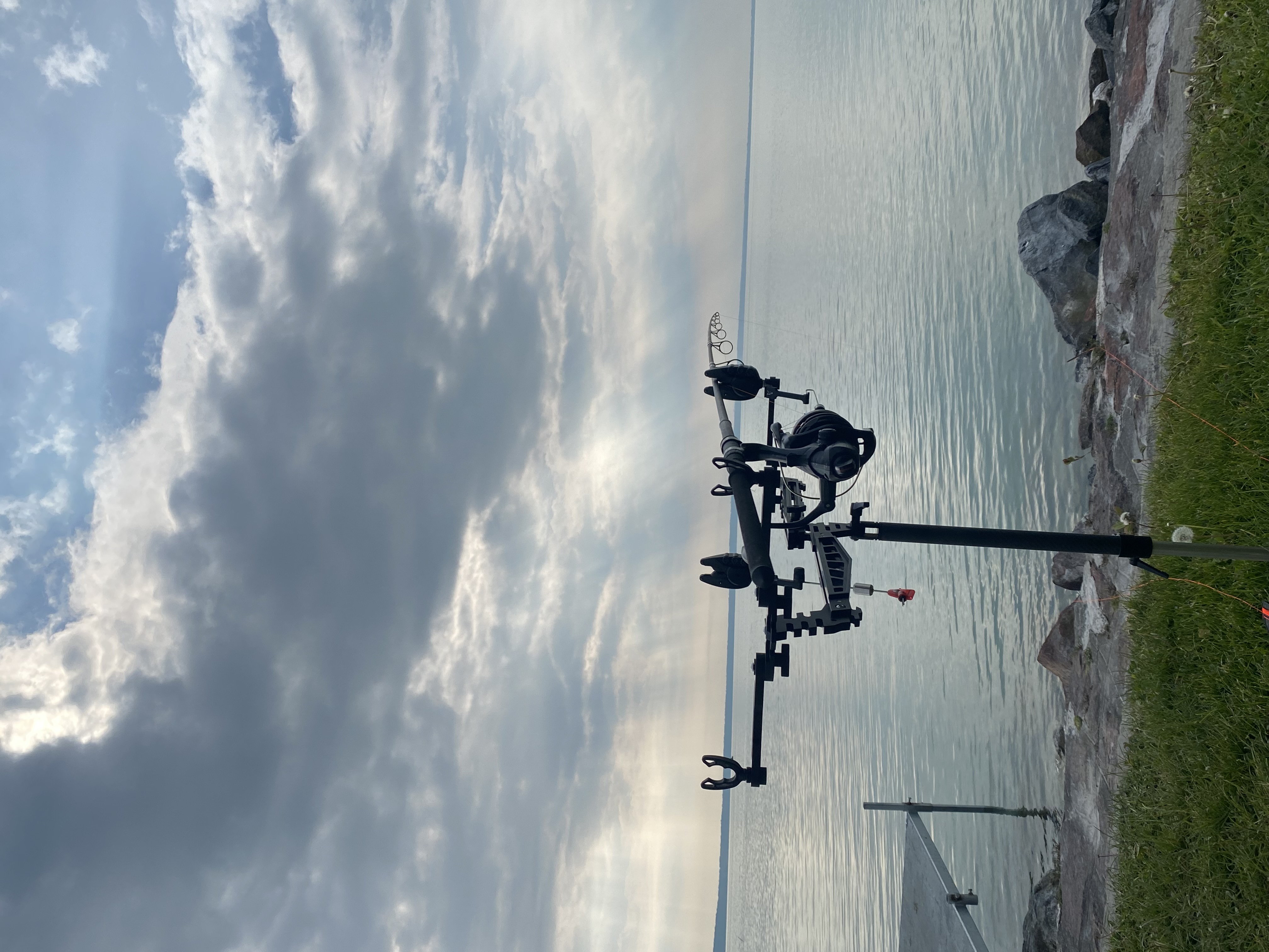 IMG_3842.jpeg